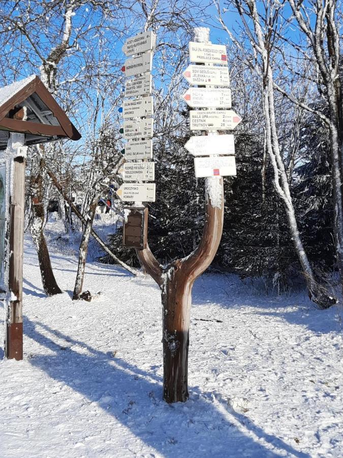 Apartmán s vyhlídkou 276-16 Horní Maršov Esterno foto